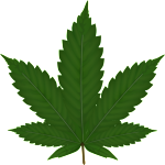 cannabis-leaf-md