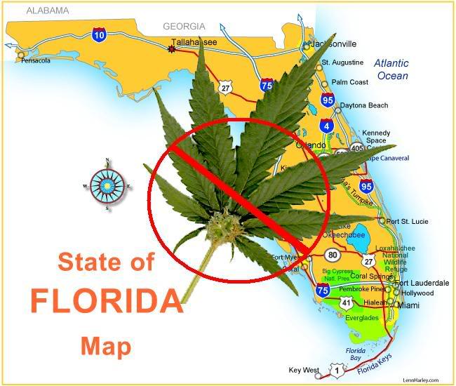 Florida weed